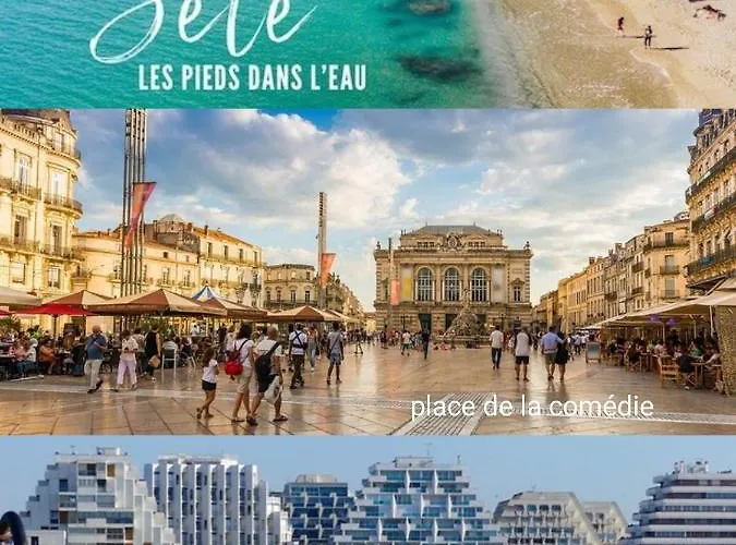 La Maisonnetteau Calme Et Sans Vis à Vis Classé 3 Etoiles Hébergement de vacances